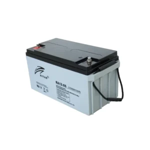 Ritar UPS Battery