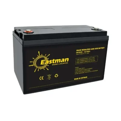 Eastman EM100VB