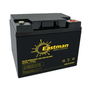 Eastman EM40VB