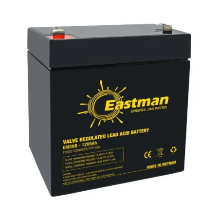 Eastman EM5VB