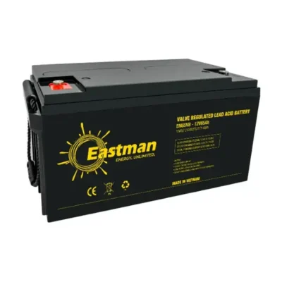 Eastman EM65VB